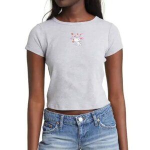 Vinyl Icons Snoopy Hearts Cotton Graphic Tee Gray Size S